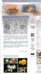 Mobile Screenshot of posidim-pogovorim.ru